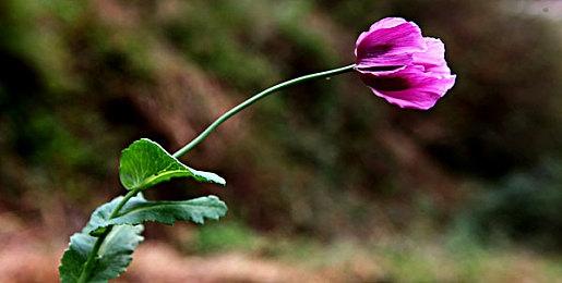 《VR战士5 R.E.V.O.》新增世界舞台模式 预告片欣赏